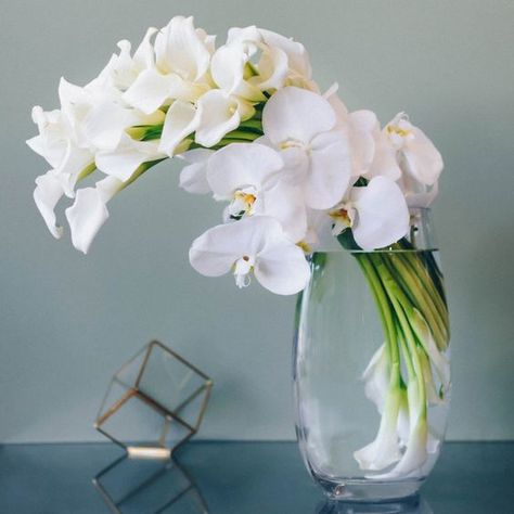 flower vases, Interior decoration, vases Flower Vases Ideas, Flower Vase Ideas For Home, Contemporary Arrangements, Orchid Ideas, Calla Lily Centerpieces, White Phalaenopsis Orchid, Lily Centerpieces, Vases Ideas, Decoration Buffet