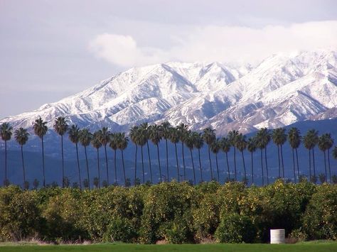 From Redlands, California toward the San Bernardino Mountains. Snow Valley, Redlands California, San Bernardino Mountains, San Bernardino California, California Hikes, Family Vacation Spots, Places In California, San Bernardino County, Lake Arrowhead