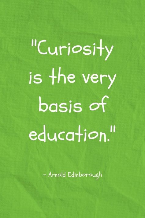 Early Education Quotes, Learning Quotes Education, Preschool Quotes, For Teachers, Curiosity Quotes, Child Quotes, Child Development Activities, Phone Technology, Play Quotes