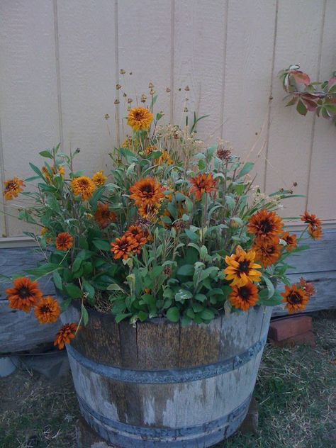 love the wildflower look! Container Landscaping, Summer Containers, Fall Outdoors, Fall Container Gardens, Flower Containers, Country Garden Decor, Fall Containers, Flowers Growing, Have Inspiration