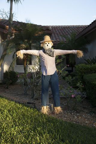 My mother and I didn't want to buy one of the crappy scarecrows at Michael's or Jo-Ann's, so we decided to design and build our own.  We used PVC for the frame,... Scarecrow Competition, Fall Yard Decor, Scarecrows For Garden, Diy Scarecrow, Halloween Costumes To Make, Ballet Painting, Garden Angels, Stacked Pumpkins, Garden Art Crafts