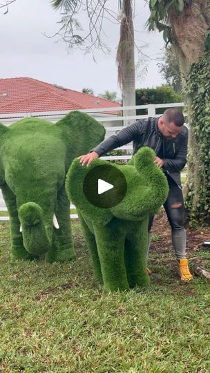 Animal Topiary, Topiary Frames, Park Run, Yard Area, Artificial Topiary, Tent Decorations, Topiaries, Artificial Turf, Wedding Mood Board