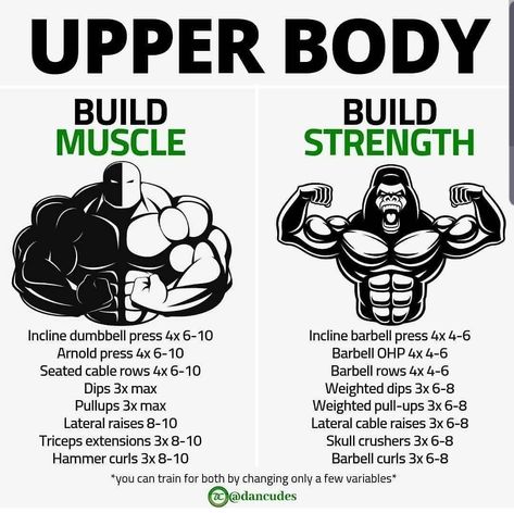 Hypertrophy Workout, Upper Body Workouts, Barbell Row, Body Muscles, Cable Row, Running Plan, Weight Training Workouts, Gym Workout Tips, Strength Workout