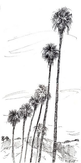 v Los Angeles Drawing Art, Sketch Palm Tree, Los Angeles Drawing, Tree Tattoo Side, Palm Tree Sketch, Los Angeles Palm Trees, Willow Tree Art, Los Angeles Landscape, Desert Drawing