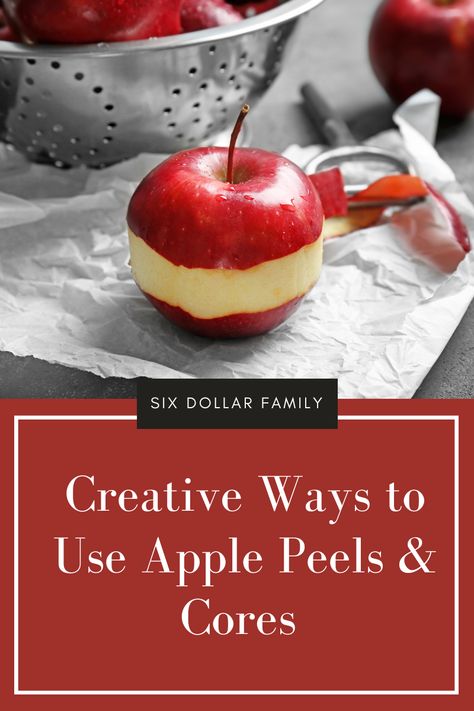 Waste is expensive in more ways than one. That’s why finding ways to reduce waste is important. The next time you bite into a juicy apple, don’t toss the peel and core! These 22 ways to use apple peels will show you what to do with apple peels when you don’t want to throw them away! Apple Peel Recipe, Apple Peels And Cores, Homemade Apple Juice, Homemade Apple Cider Vinegar, Canning Apples, Apple Pie Oatmeal, Leftover Apples, Apple Bourbon, How To Make Something