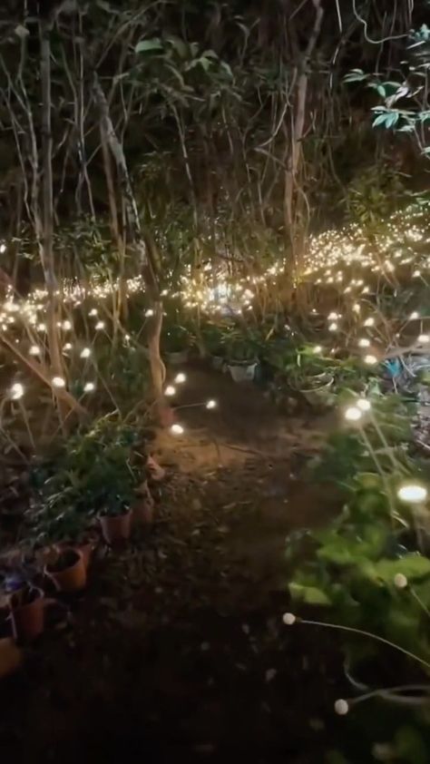 luxurytravelhackers_adventure on Instagram: Come to the forest of flies 😍 Follow @luxurytravelhackers_adventure 👈 Follow @luxurytravelhackers_adventure 👈 📸: Thank you to @ViralHog… Front Flower Beds, Hangout Spot, Solar Garden Lights, Firefly Lights, Outdoor Garden Lighting, Garden Lights, Solar Powered Lights, Solar Garden, Small Garden Design