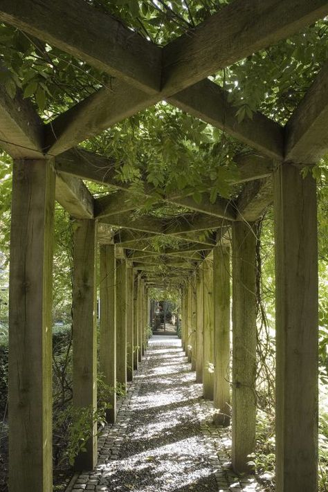 Pergola Walkway, Wisteria Arbor, Wisteria Pergola, Modern Mansions, Memory Garden, Grape Arbor, Garage Pergola, Cheap Pergola, Entrance Gate