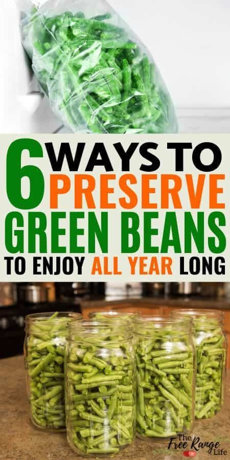 How To Preserve Green Beans, Harvesting Green Beans, Canning Green Beans In The Oven, Green Bean Canning Recipes, Preserve Green Beans, Dried Green Beans, Dehydrated Green Beans, Pressure Canning Green Beans, Preserving Green Beans