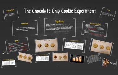 The Chocolate Chip Cookie Experiment by Marissa BIllings Cookie Science Fair Project, Cookie Experiment, Cookie Science, Science Fair Experiments, Science Fair Projects Boards, Science Fair Project, Cookie Sheets, Kids Science, Science Projects For Kids