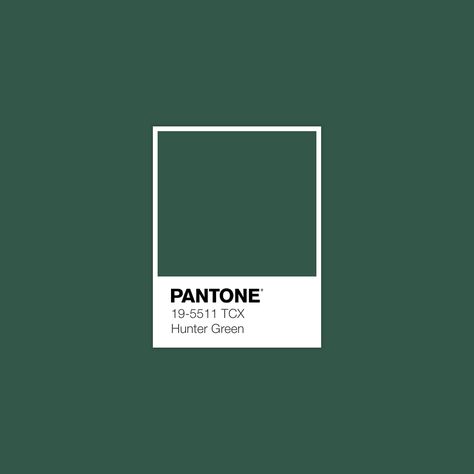 A Christmas Eve Color of the Day Green Color Trends, Pantone Green, Pantone Palette, Pantone Colour Palettes, Interior Color Schemes, Palette Design, Dark Green Aesthetic, Pantone Colors, Color Psychology