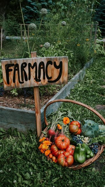 Brandi Rondinelli 🌾 Homesteading mama on Instagram: "Who’s with me?! 🌻🌿 🪶🪿 . . . . . . #simpleliving #simplelife #farmstead #gardener #thehappygardeninglife #plantsaremagic #botanicalpickmeup #backyardgardener #instagardeners #gardenerofinstagram #gardenersworld #gardenerslife #sheinthegarden #cottagecore #cottagegarden #farmtotable #homeschool #homeschoollife #lifeskills #lifeskillsforkids #homeschooling #homeschoolfamily" Holistic Vision Board, Homestead Vision Board, Farm Lifestyle Simple Living, Cottagecore Vegetable Garden, Small Homestead Aesthetic, Black Homesteaders, Homestead Asthetic, Modern Homestead Aesthetic, Home Steading