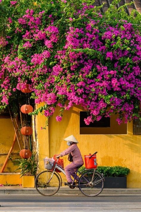 Alden Anderson seeks to highlight the bold colors of Hoi An, Vietnam, juxtaposed with the daily life of the locals in his collection “Colors of Hoi An”. #hoian #vietnam #yellow #travelphotography #asia #oldtown #unesco #seasia #traveldestination #flowers #bougainvillea #purple #pink Vietnam Artwork, Streets Photography, Hoi An Old Town, Vietnam Beauty, Chicago Aesthetic, Voyage Bali, Hoi An Vietnam, Vietnam Voyage, Vietnam Art