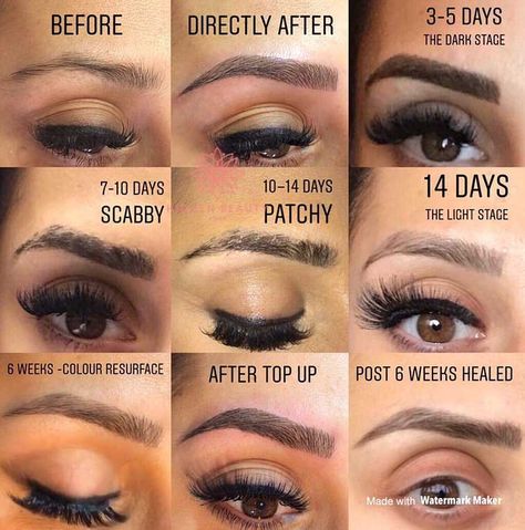 Microblading Scabbing Day by Day: What to Expect Tattoo Healing Stages, Microblading Healing Process, Tattoo Touch Up, How To Make Eyebrows, Mircoblading Eyebrows, Long Eyebrows, Tattoo Healing Process, Eyebrow Before And After, Tattoo Eyebrows