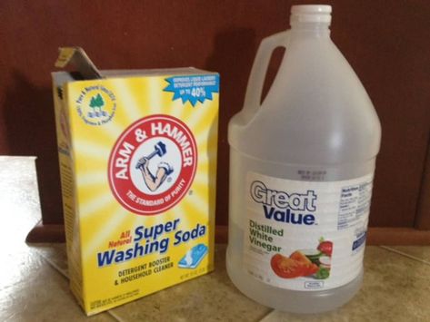 A Natural Alternative to Shampooing Your Carpet | Dengarden Natural Toilet Cleaner, Carpet Shampooer, Washing Soda, Carpet Shampoo, Toilet Bowl Cleaner, Natural Cleaners, Cleaning Recipes, Diy Cleaners, Oven Cleaning