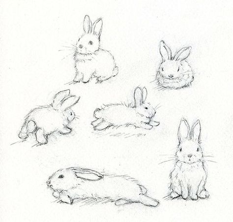 Rabbit sketches | How to draw a bunny: Rabbit Drawing, Rabbit Tattoos, Výtvarné Reference, Bunny Drawing, Desen Anime, Rabbit Art, Bunny Art, Arte Inspo, Dessin Adorable