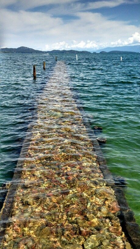 Flathead lake. Polson montana This made me think of the journey we take and the one that leads us home. Welcome home. I missed you. Polson Montana, Montana Life, Flathead Lake Montana, Montana Trip, Lake Montana, Montana Vacation, Montana Travel, Flathead Lake, Montana Usa