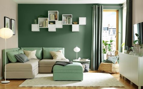 The off white rug in this living room charmingly contrasts against the medium green wall and mint green couch cushions to create this cozy haven. With the addition of a matching floor and table lamp, it is the perfect place to snuggle up with a blanket and read a book or catch up on your favorite TV shows. Legal Paperwork, Green Accent Walls, Living Room Wall Color, Room Wall Colors, Green Living Room, Room Green, Living Room Color Schemes, Trendy Living Rooms, Room Color Schemes