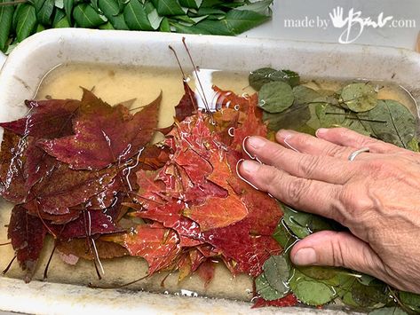 Nature, Eco Printing Paper, Eucalyptus Dye, Eco Printing Tutorial, Eco Printing Textiles, Eco Dyeing Fabric, Diy Dye, Natural Dye Fabric, Eco Dyeing