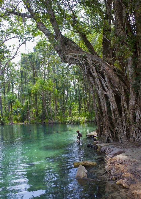 https://flic.kr/p/2kpkmuY | Green water river, New Ireland Province, Laraibina, Papua New Guinea | © Eric Lafforgue www.ericlafforgue.com Papua New Guinea Aesthetic, Papua New Guinea Culture, New Ireland Province, Guinea Country, Guinea Conakry, Ilmu Ekonomi, Art For Walls, Water River, Eric Lafforgue