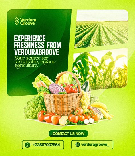 DM for your Design Green Flyer Design, Magazine Advertising Design, Agriculture Flyer, Agriculture Poster, Product Flyer Design, Simple Flyer Design, Food Flyer Design, Custom Promotional Items, Digital Advertising Design