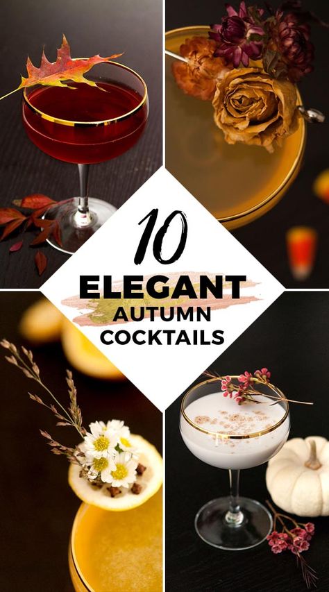 It may still feel like summer, but Autumn is right around the corner, so I’ve gathered 10 of my very favorite Autumn cocktail recipes, perfect for your Halloween, Thanksgiving, perfectly cozy, elegantly spooky, delightfully seasonal cocktail parties! Flaming Cocktails, Autumn Cocktails, Coctails Recipes, Fall Cocktails Recipes, Thanksgiving Cocktails, Seasonal Cocktail, Games Diy, Masks Diy, Halloween Recipe