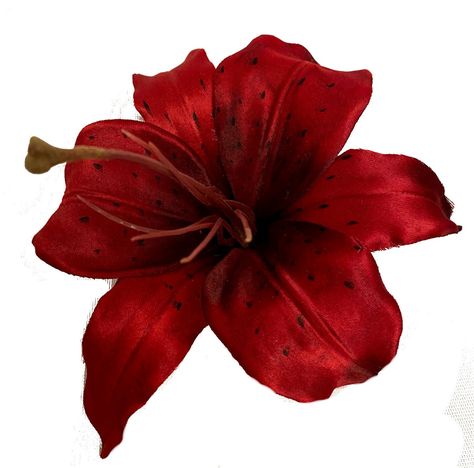 This is a beautiful 5 inch large lily hair flower. This burgundy bloom has an alligator clip on the back. This is a big flower that is sure to gain attention. So bold, so beautiful! Round Lake, Hair Flower, Tiger Lily, Lily Flower, Dark Red, Clip On, Alligator, Lily, Red