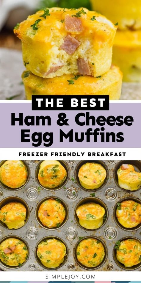 Ham And Cheese Egg Muffins, Muffin Cups Recipes, Egg Muffins Recipe, Egg Bites Recipe, Egg Muffins Breakfast, Egg Muffin, Vegan Muffins, Quick Breakfast Recipes, Egg Muffins