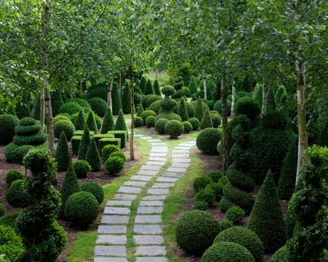 Topiary: 15 ways to use clipped evergreens in gardens | Homes & Gardens Small Topiary Garden, Topiary Garden Landscaping, Cloud Pruning, Laurel Hedge, Outdoor Topiary, Garden Topiary, Topiary Diy, Boxwood Garden, Garden Landscape Ideas