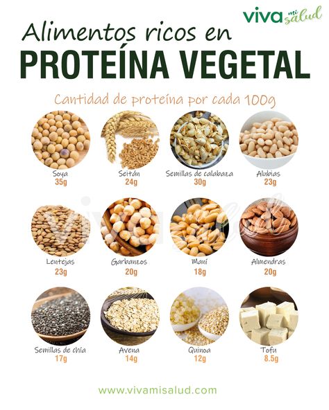 Las proteínas vegetales son una opción para mantener tu salud en buen estado. En Viva mi salud te presentamos algunos alimentos de origen vegetal con gran aporte proteico. #comidavegetariana #vegetariana #comidavegana #vegana #alimentación #nutrición #salud #bienestar #vivamisalud Vegan Life, Healthy Nutrition, Going Vegan, Raw Food Recipes, Veggie Recipes, Healthy Tips, Health And Nutrition, Healthy Habits, Healthy Diet