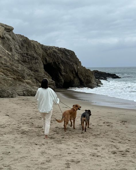 beach, ocean, coastal, malibu, summer, cute gir walk, dogs, aesthetic Coastal Lifestyle Aesthetic, Dog Life Aesthetic, Beach Living Aesthetic, Coastal Life Aesthetic, Reese Aesthetic, Beach Walk Aesthetic, Nature Walk Aesthetic, Beach Lifestyle Aesthetic, Costal Life