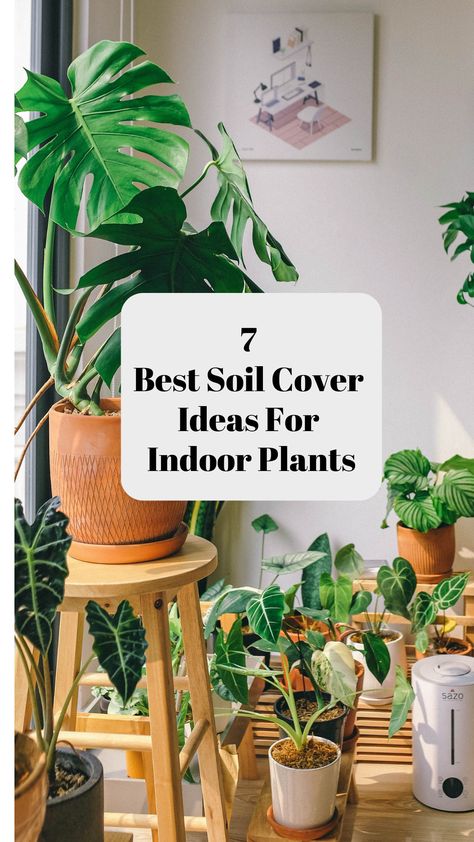 7 Best Soil Cover Ideas For Indoor Plants - Best Potting Soil For Indoor Plants, Best Soil For Indoor Plants, Indoor Plant Placement, Soil Mix For Indoor Plants, Indoor Potting Soil, Indoor Gardening Diy, Styling Plants, Indoor Plants Diy, Pots For Indoor Plants