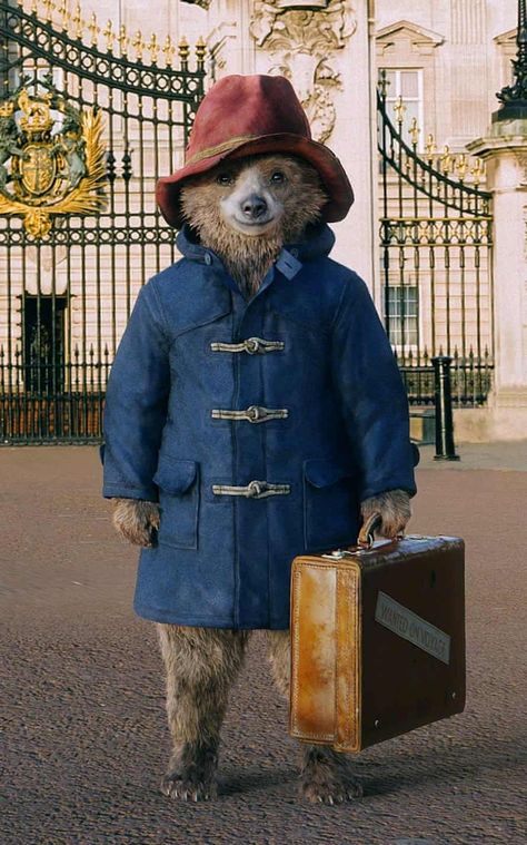 Paddington Bear Toy, Oso Paddington, Family Story, Storybook Cottage, Paddington Bear, Bear Party, A Teddy Bear, The Best Films, Fantasy Movies