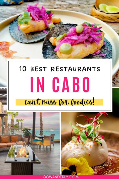 Discover the best restaurants in Cabo with options for authentic Mexican food and breathtaking views. Perfect for your Cabo vacation. Things To Do In Cabo San Lucas, What To Do In Cabo San Lucas, Cabo San Lucas Itinerary, Cabo Nightlife, Best Places To Stay In Cabo San Lucas, Best Places To Eat In San Jose Del Cabo, San Jose Del Cabo Restaurants, Best Restaurants In Cabo San Lucas, Cabo Restaurants