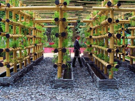 vertical farm Vertical Vegetable Garden Design, Farming Architecture, Garden Mulch, Vertical Vegetable Gardens, Gutter Garden, Vertical Garden Design, Vertical Vegetable Garden, Green Ideas, Vertical Herb Garden