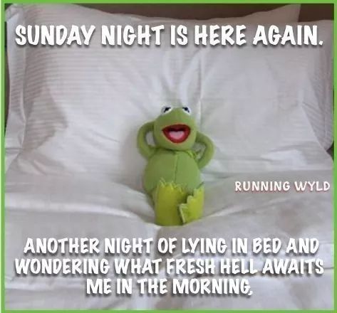 Sunday Night Humor, Night Humor, Kermit Funny, Sassy Shirts, Funny Animal Quotes, Easy Yoga Workouts, Fantasy Comics, Kermit The Frog, Sarcasm Humor