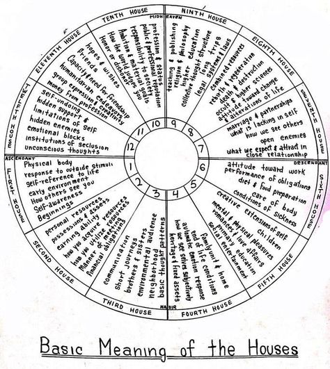 ☆ꪖ𝘴𝓽𝘳ꪮ ꫀꪶꫀꪖꪀꪮ᥅ on Twitter: "★ ASTROLOGY GUIDE ★ Degree Meanings in your Chart A complete thread on what each degree, from 0°-29° means in your natal chart. ↓ tap for more ↓" Natal Chart Astrology, Astrology Houses, Astrology Meaning, Birth Chart Astrology, Learn Astrology, Tarot Astrology, Astrology Numerology, Tarot Learning, Astrology Chart