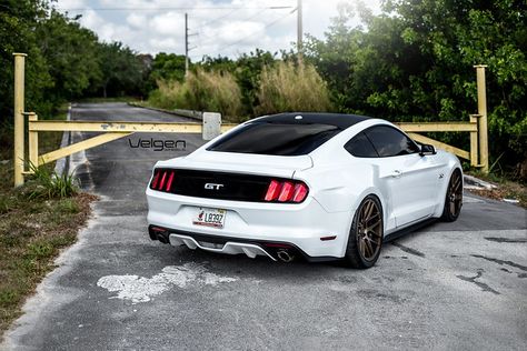 2011 Mustang Gt, 2016 Mustang Gt, 2013 Mustang Gt, 2016 Mustang, White Mustang, 2014 Mustang Gt, Ford Mustang Gt 2015, 2014 Mustang Gt 5.0, Oxford White