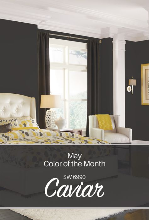 Sherwin-Williams' May Color of the Month: Caviar SW 6990 Sherwin Williams Caviar Accent Wall, Bedroom Wall Colors Sherwin Williams, Wall Colors Sherwin Williams, Sw Caviar, Caviar Paint, Paint Walls, Color Of The Month, Black Paint Color, Black Accent Walls