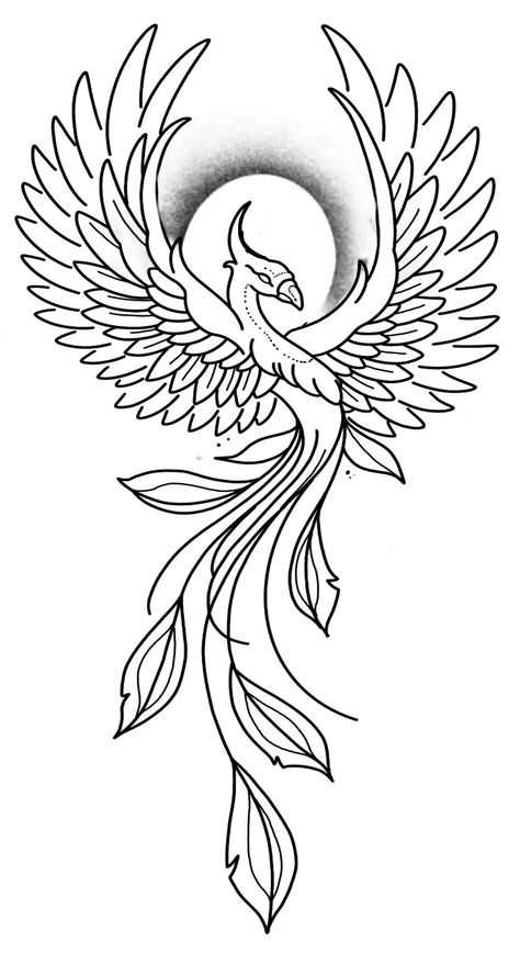 Phoenix Drawing, Phoenix Bird Art, Phoenix Tattoo Feminine, Animal Tattoo Ideas, Beginner Tattoos, Phoenix Tattoo Design, Tattoo Outline Drawing, Phoenix Art, Tattoo Stencil Outline