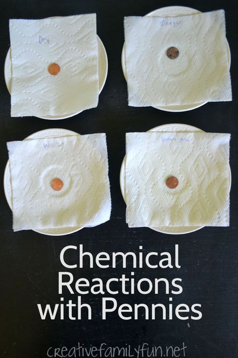 This fun science project for kids will help them explore chemical reactions with pennies. Fun Experiments, Experiments Kids, Fair Projects, Science Project, Science Fair Projects, Chemical Reactions, Science Experiment, Science Experiments Kids, Science Fair