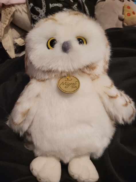 Owl Plushies, Kate Daniels, Spring Drawing, Owl Plush, Annabeth Chase, Cute Stuffed Animals, Cute Toys, Percy Jackson, Paracord