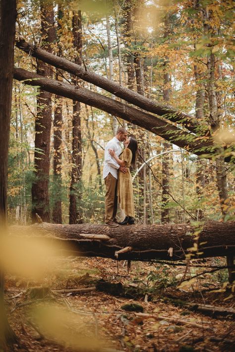 Fall in New England is one of the most beautiful times of the year and also fall is the most popular time for engagement photos. Couples love embracing the fall colors, changing leaves and cooler temps. Love this engagement photo of a couple on a fallen tree in the woods. Autumnal Engagement Shoot, Sequoia Engagement Photos, Fall Forest Family Pictures, Woodsy Couple Photos, Couples Fall Poses, Fall Woods Engagement Photos, Late Fall Couple Photoshoot, Swamp Engagement Photos, Woods Wedding Colors