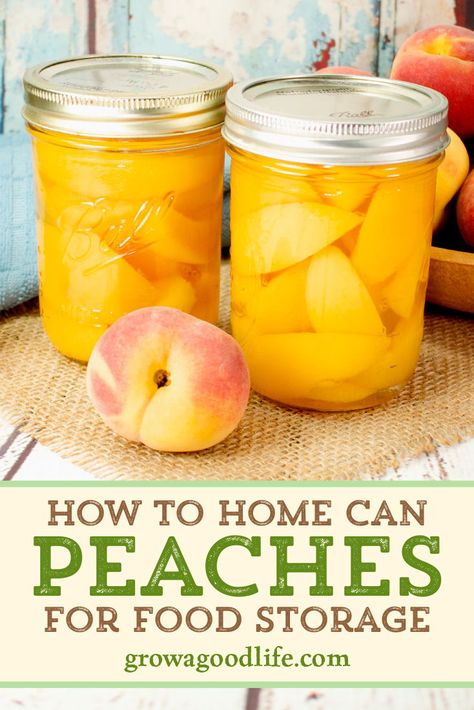 Capture summer in a jar by preserving fresh peaches to enjoy all year long with this recipe for canning peaches. Visit for a step-by-step tutorial on how to can fresh peaches for food storage. Canning Peaches Recipes, Canning Cupboard, Peaches Recipes, Food Rocks, Canning Peaches, Canning Fruit, Canning Food, Canning Food Preservation, Canned Food Storage