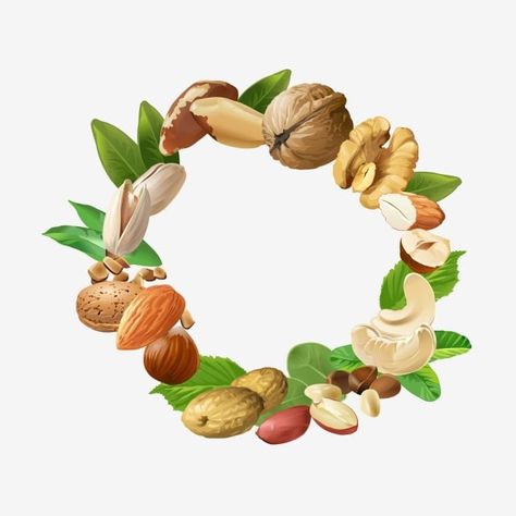 Fruit Logo Design, Different Nuts, Fruit Logo, Brazil Nuts, Almond Nut, Vector Food, Frame Vector, Food Backgrounds, Cashew Nut