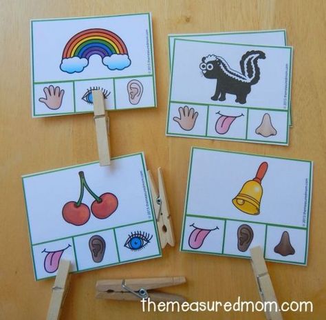 FREE resource.  This post has some really awesome pictures and ideas for teaching about the 5 senses.  At the bottom of the post is a link to download the cards above as a FREE set.  Read more at:  http://www.themeasuredmom.com/free-five-senses-activity-for-preschool-and-kindergarten/ Preschool Senses, Five Senses Activity, Senses Activity, 5 Senses Preschool, Five Senses Preschool, 5 Senses Activities, Senses Preschool, My Five Senses, Measured Mom