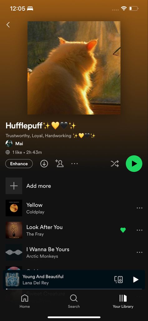 Hufflepuff Playlist Songs, Hufflepuff Music, Songs That Confirm Your A Hufflepuff, Hufflepuff Songs, Hufflepuff Playlist, Playlist Names Ideas Aesthetic, Names Ideas Aesthetic, Hufflepuff Girl, Aesthetic Playlist