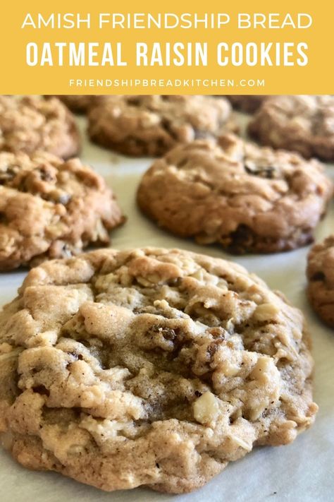 Amish Friendship Starter Cookies, Amish Oatmeal Raisin Cookies, Amish Friendship Cookies, Amish Friendship Recipes, Amish Oatmeal Cookies, Amish Friendship Bread Cookies, Sourdough Oatmeal Raisin Cookies, Amish Friendship Bread Discard Recipes, Recipes Using Amish Friendship Starter