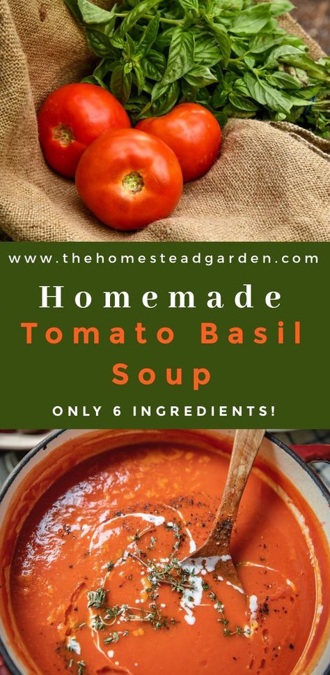 Homemade Tomato Basil Soup, Homemade Tomato Soup Recipe, Tomato Basil Soup Recipe, Bisque Soup, Tomato Soup Homemade, Basil Soup, Tomato Basil Soup, Tomato Soup Recipes, Easy Soups