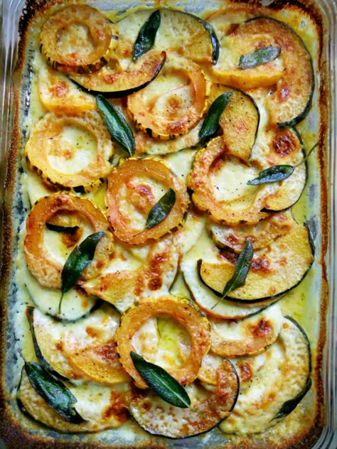 Today I’m giving you a little inspiration for your Thanksgiving Day table, the holidays are right around the corner, so it’s time to start planning, can you believe it? This deliciously creamy gratin combines three of my favorite winter squash, butternut, delicata and acorn. They sit nice and pretty in a parmesan and garlic cream … Squash Gratin, Delicata Squash Recipe, Delicata Squash, Acorn Squash, Winter Squash, Squash Recipes, Vegetable Sides, Veggie Sides, Veggie Dishes