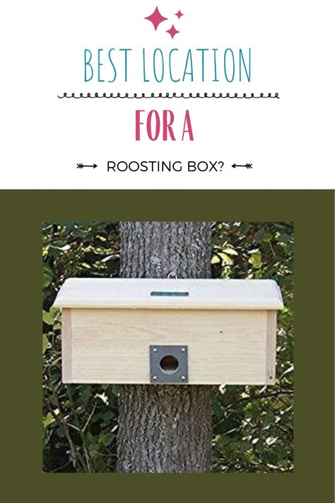 Bird Roosting Boxes Diy, Diy Bird Nesting Box Ideas, Bird Roosting Box Plans, Roosting Boxes For Birds, Bird Roosting Boxes, Bird Shelters For Winter Diy, Bird Shelters For Winter, Winter Bird Houses Diy, Winter Roosting Box Plans For Birds